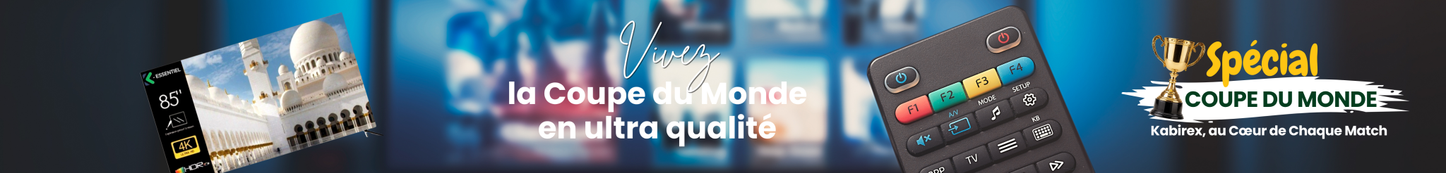 TELEVISEUR COUPE DU MONDE