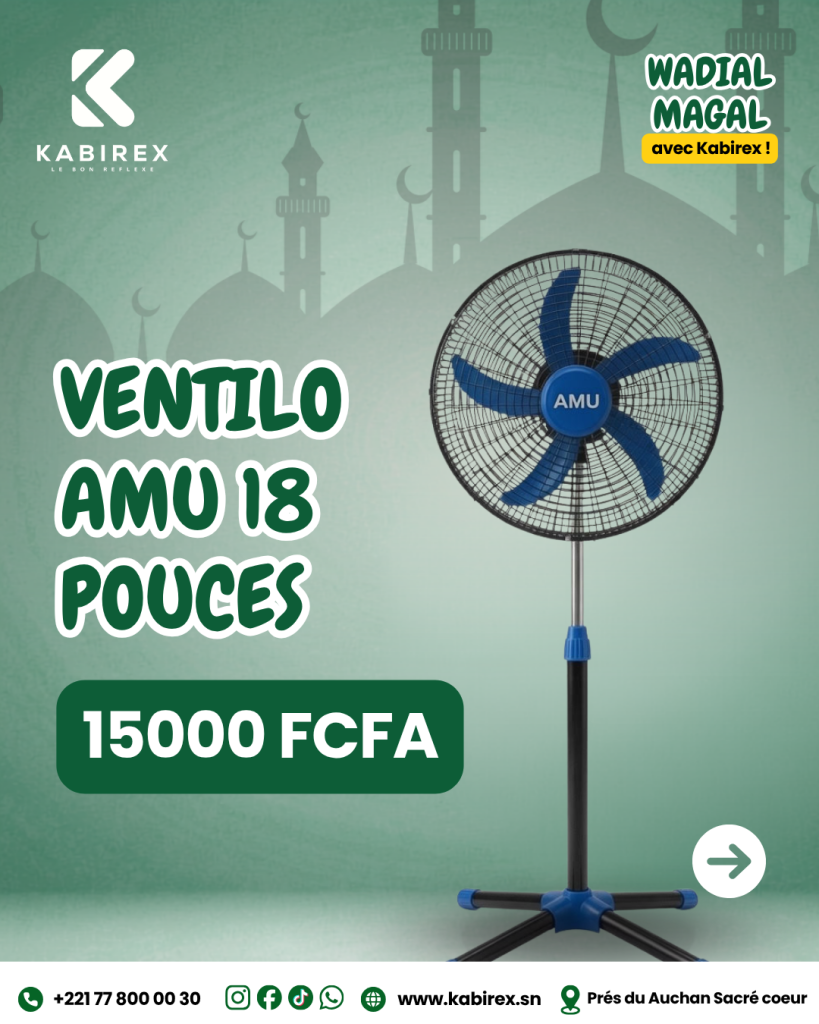 Ventilateur AMU 18 POUCES
